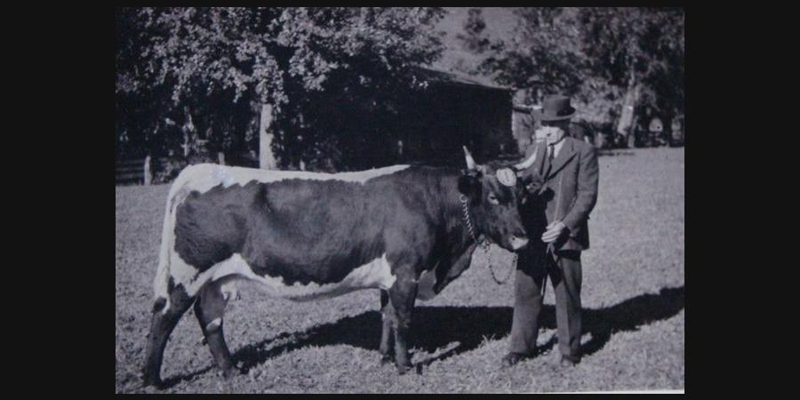 Foto von Ökonomierat Paul Faistenauer 